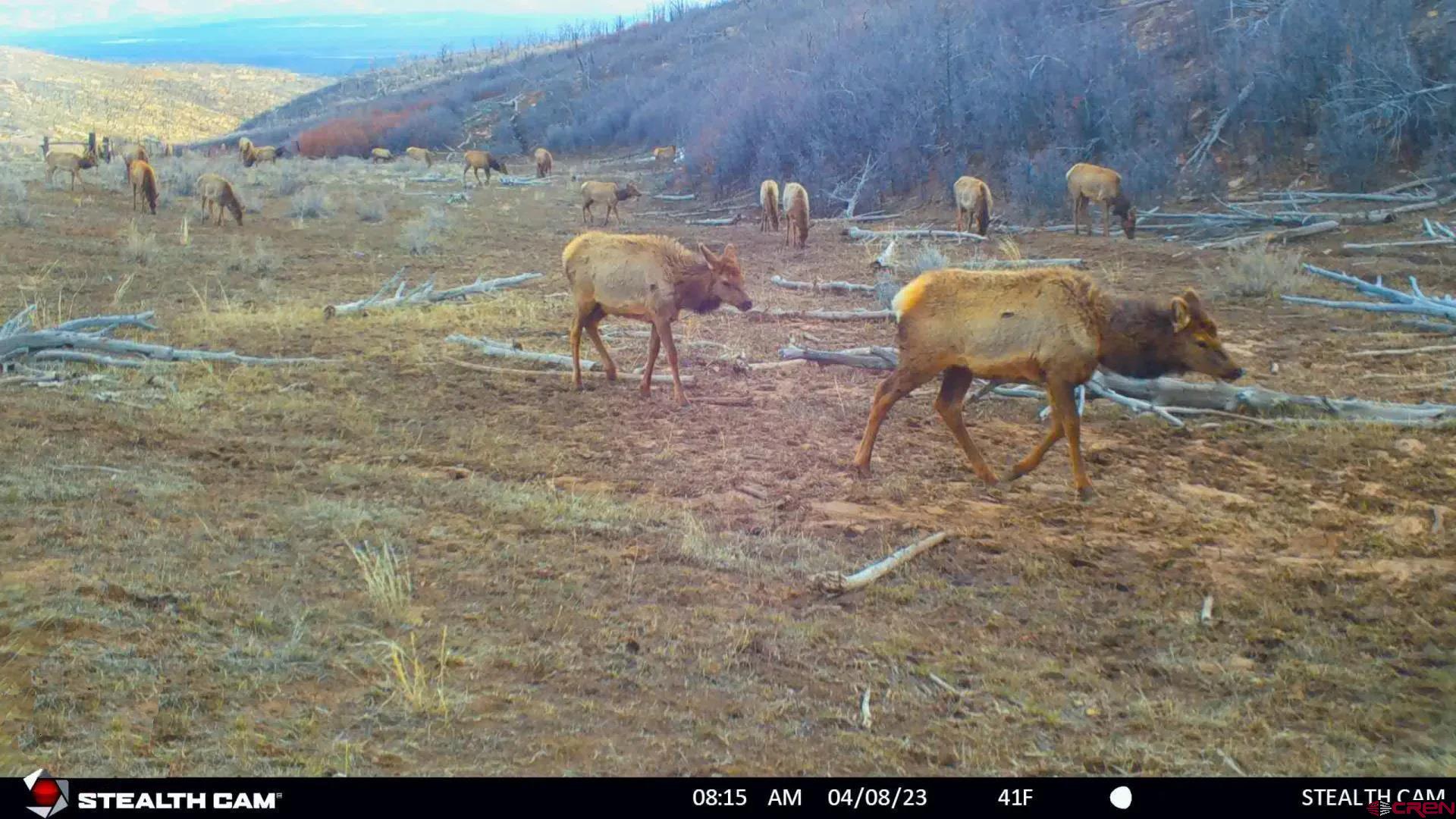 6998 East County Road U 29 Redvale, CO 81431 - Photo 24 of 27 a view of house with outdoor space