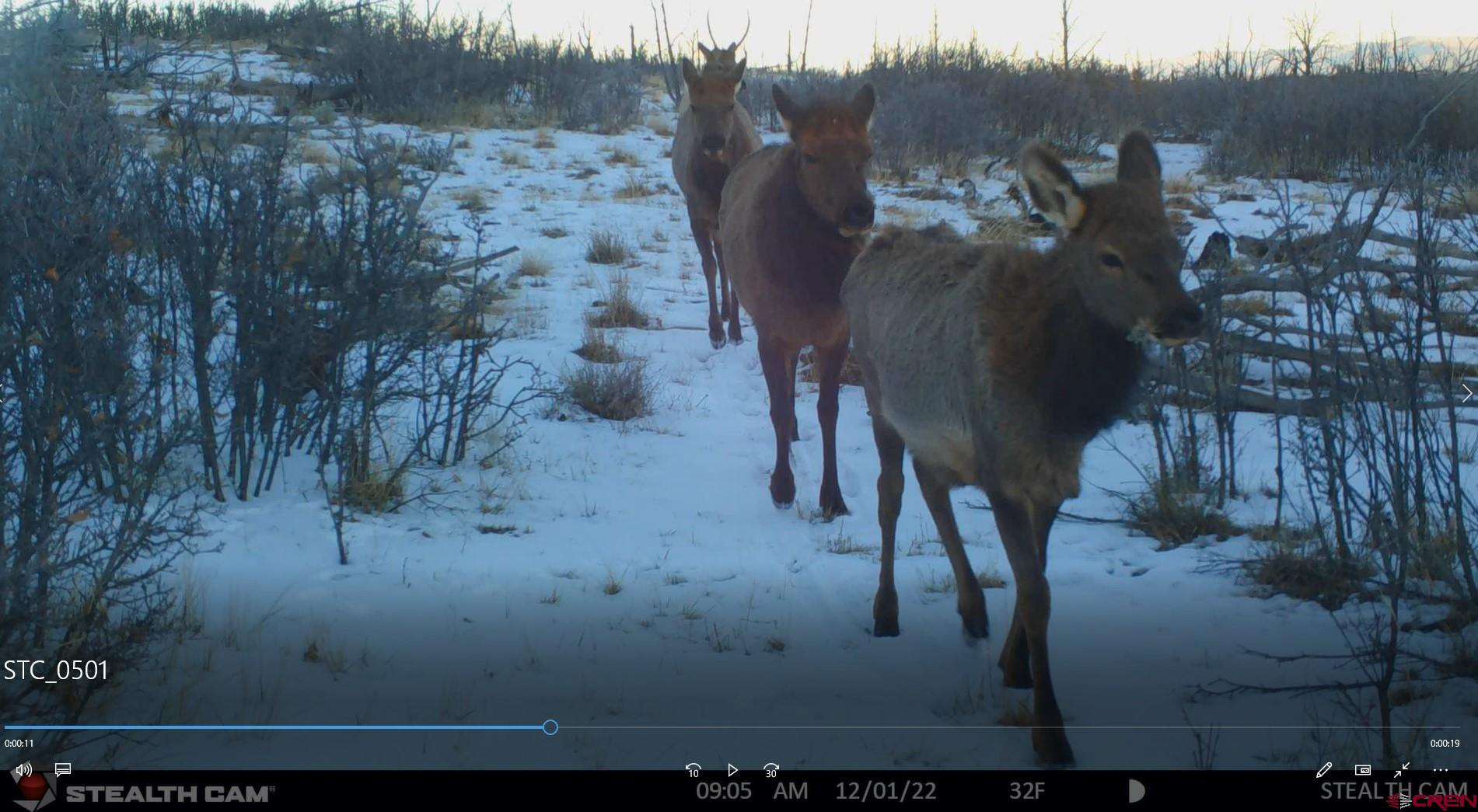 6998 East County Road U 29 Redvale, CO 81431 - Photo 25 of 27 a view of an outdoor space