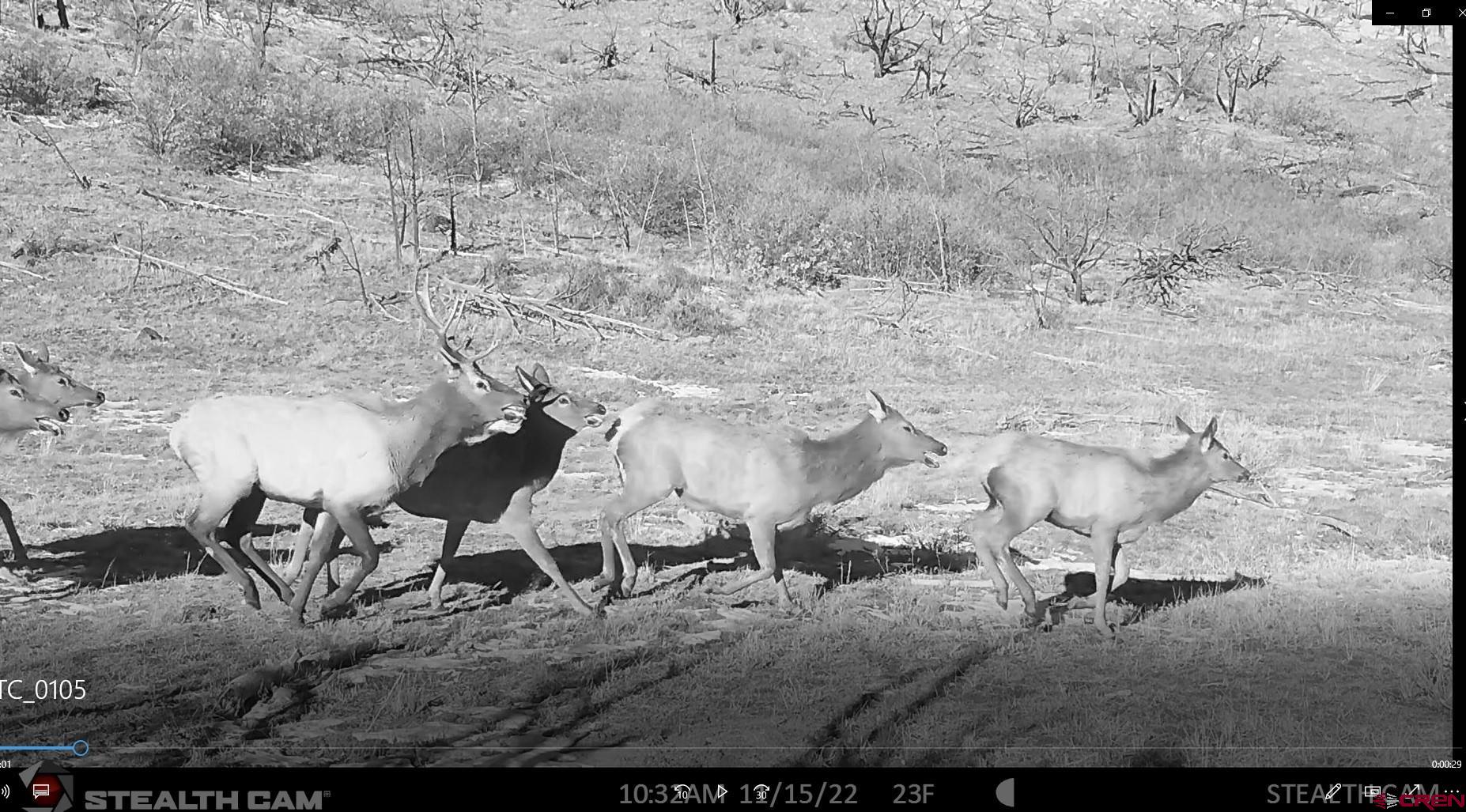 6998 East County Road U 29 Redvale, CO 81431 - Photo 26 of 27 a view of a backyard with table and chairs
