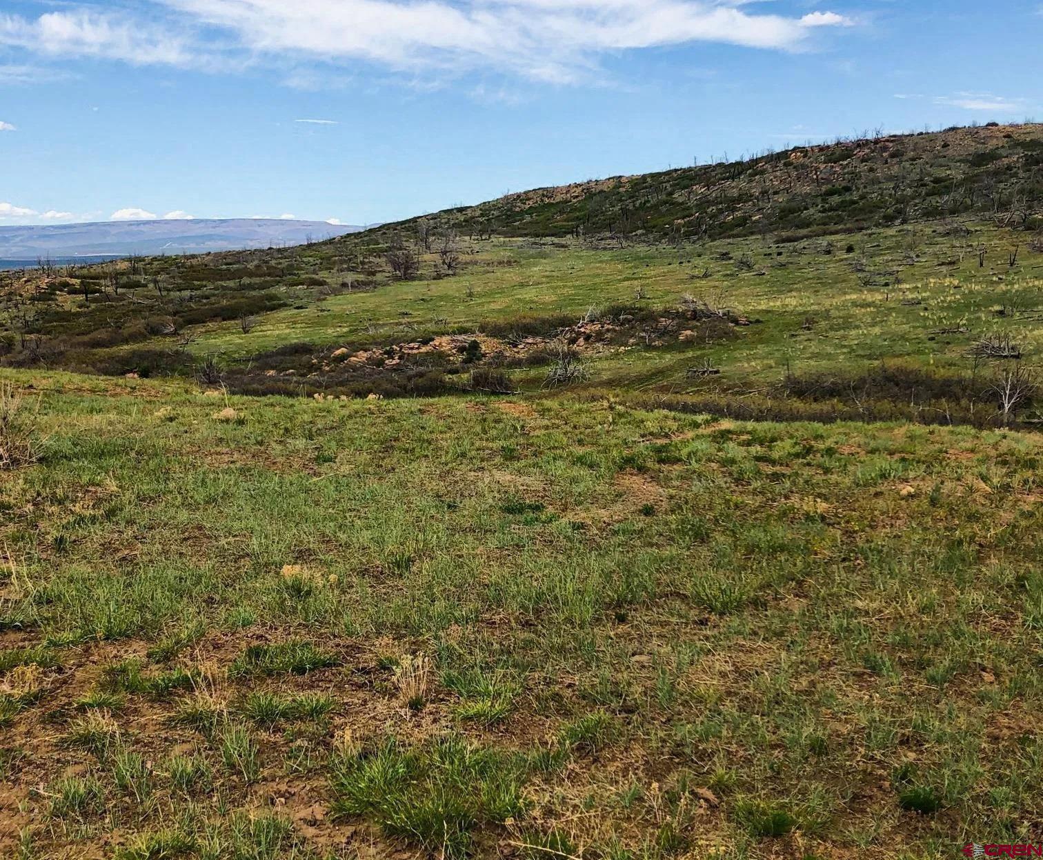 6998 East County Road U 29 Redvale, CO 81431 - Photo 3 of 27 a view of an ocean