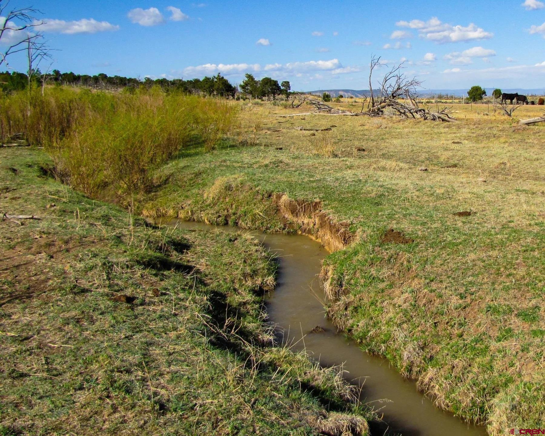 6998 East County Road U 29 Redvale, CO 81431 - Photo 4 of 27 a view of a lake view