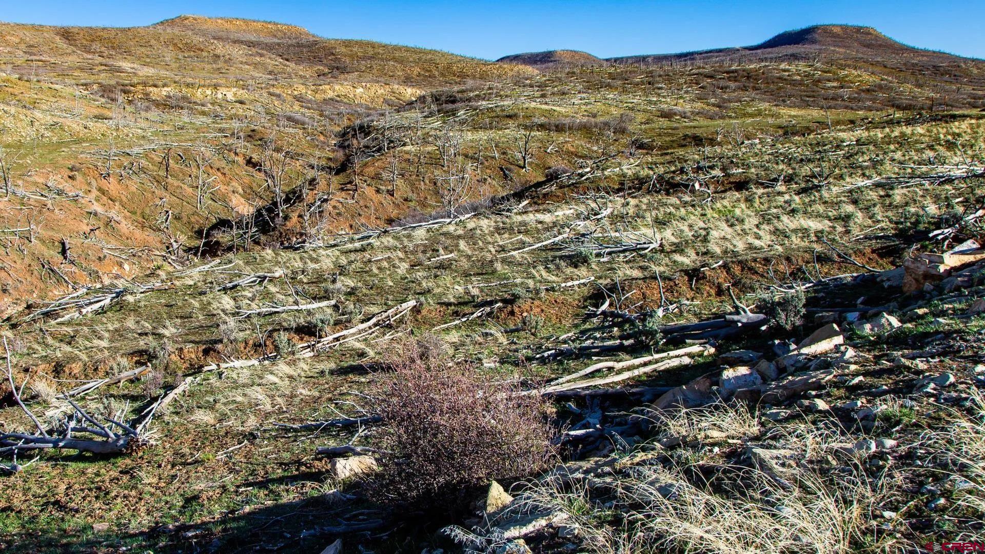6998 East County Road U 29 Redvale, CO 81431 - Photo 5 of 27 an aerial view of a house with a mountain