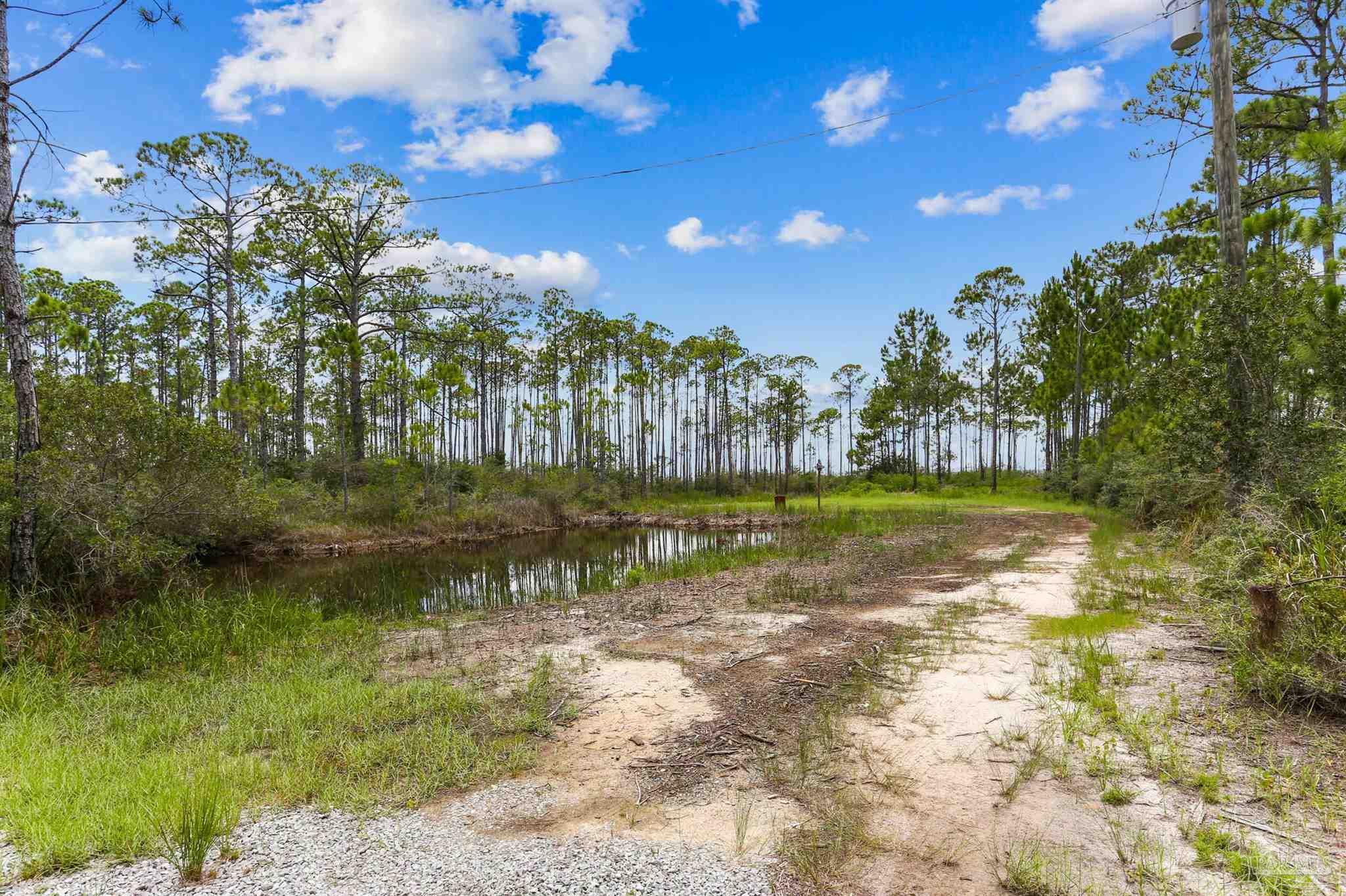 1301 Pearson Road Milton, FL 32583 - Photo 6 of 18