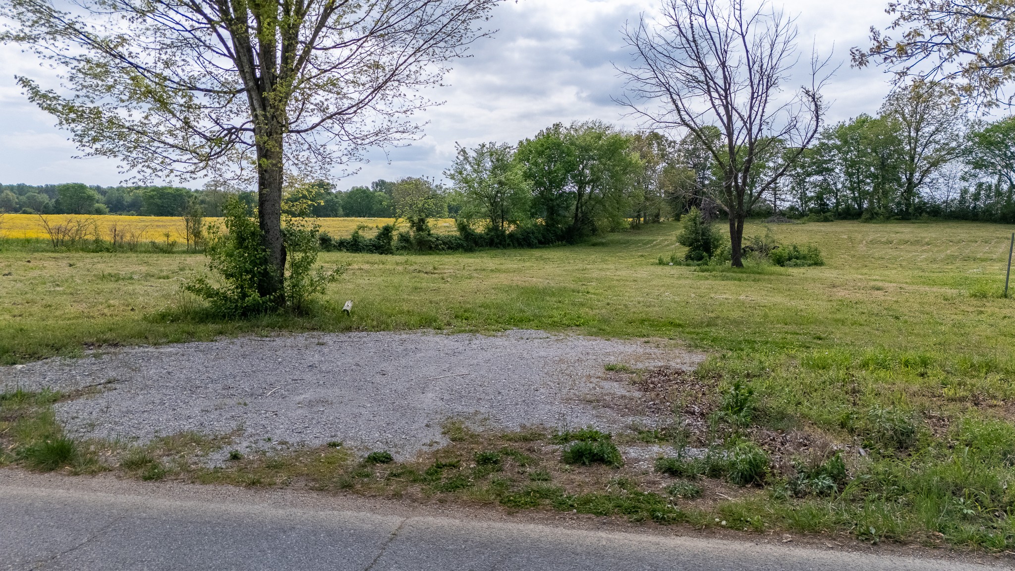 521 Revilo Road Leoma, TN 38468 - Photo 12 of 14 a view of outdoor space