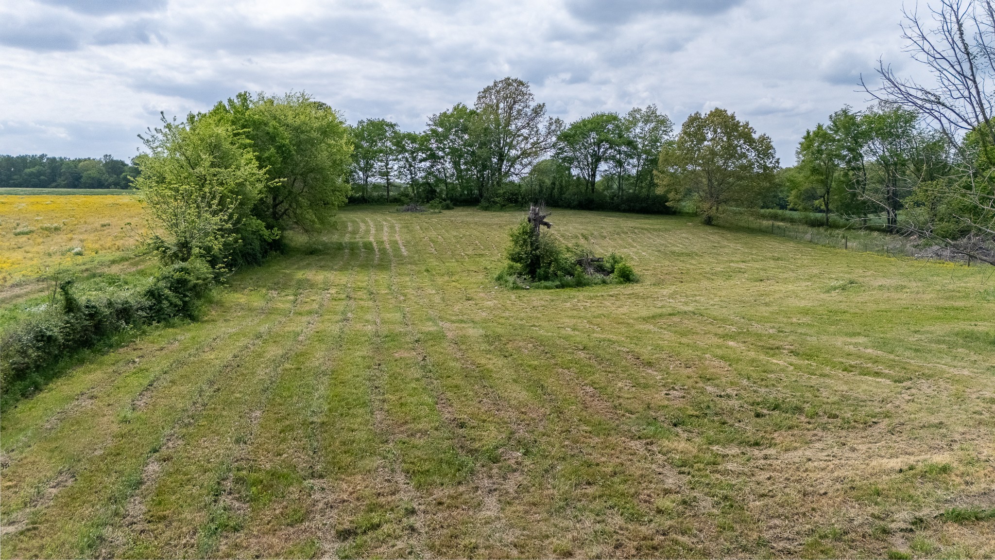 521 Revilo Road Leoma, TN 38468 - Photo 13 of 14 a view of a yard with an outdoor space