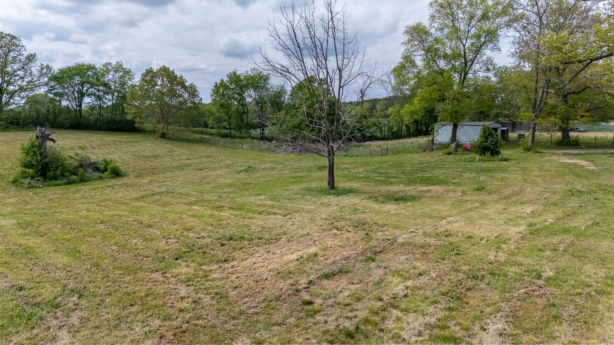 521 Revilo Road Leoma, TN 38468 - Photo 14 of 14 a backyard of a house with lots of green space