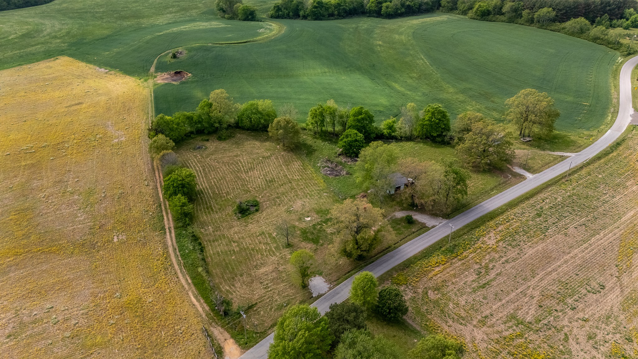 521 Revilo Road Leoma, TN 38468 - Photo 5 of 14 a view of swimming pool from a balcony