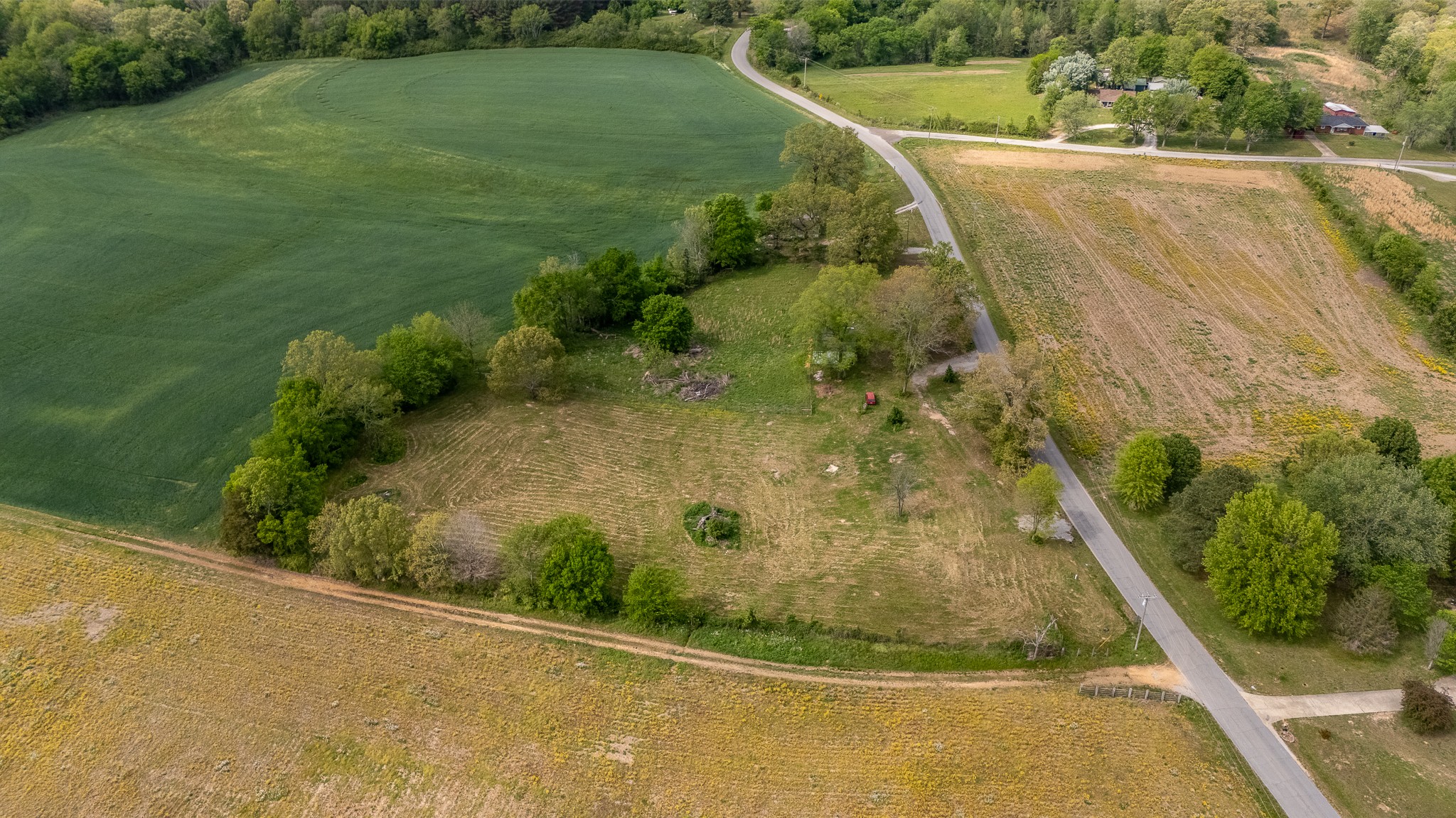 521 Revilo Road Leoma, TN 38468 - Photo 6 of 14 a view of a swimming pool with a yard