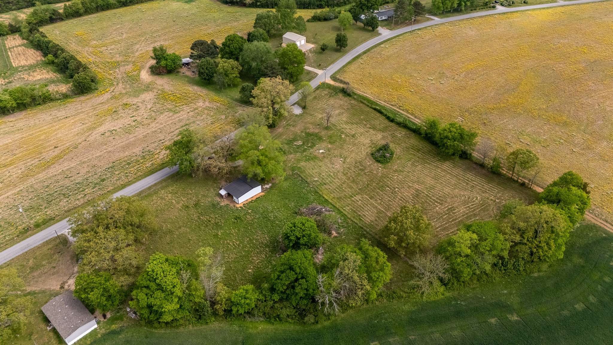 521 Revilo Road Leoma, TN 38468 - Photo 7 of 14 a view of a yard