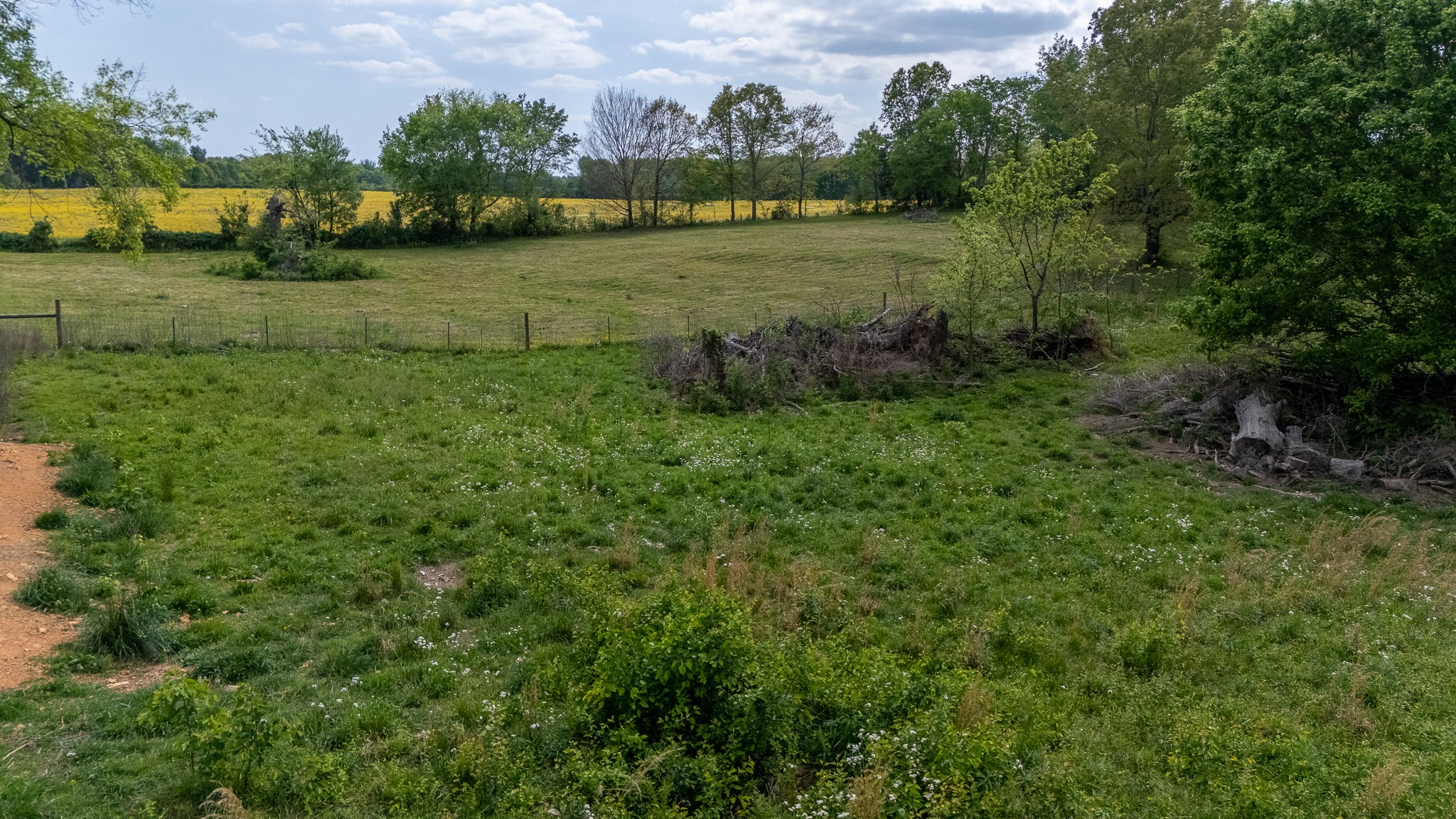 521 Revilo Road Leoma, TN 38468 - Photo 10 of 14 a view of a lake with houses in back