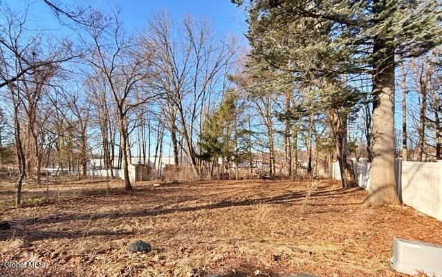 128 Old Loudon Road Colonie, NY 12110 - Photo 21 of 24 IMG_3753 Medium
