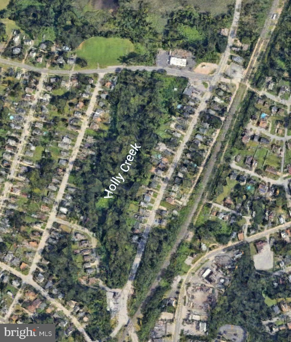 a view of a forest with a tree