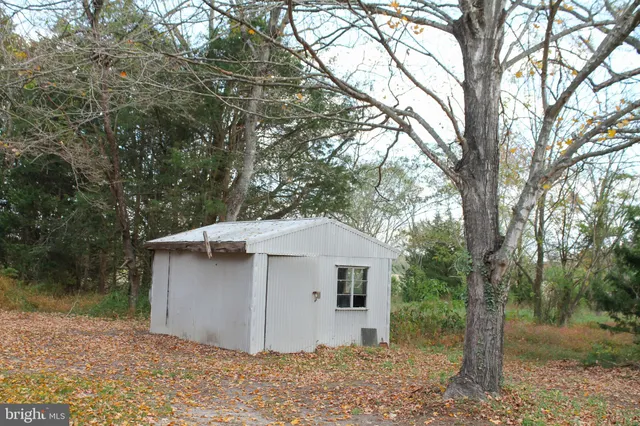a white house that has a tree in front of it