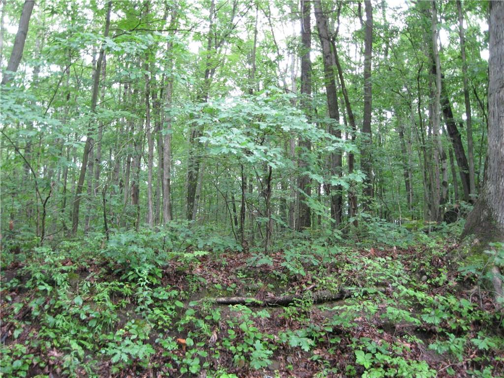 0 Grannis Road Russell, PA 16345 - Photo 1 of 3 Gallery Image 1