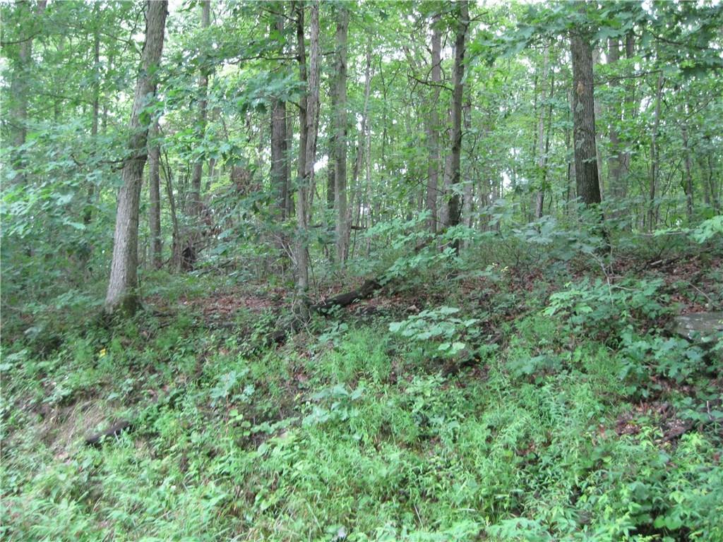 0 Grannis Road Russell, PA 16345 - Photo 2 of 3 Gallery Image 2