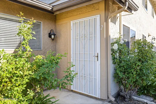 a potted plant sitting in front of a house