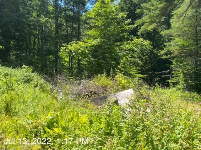 939 North Barnstead Road Barnstead, NH 03225 - Photo 12 of 12