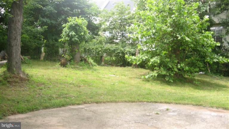 13214 Tamarack Road Silver Spring, MD 20904 - Photo 4 of 4 Back yard