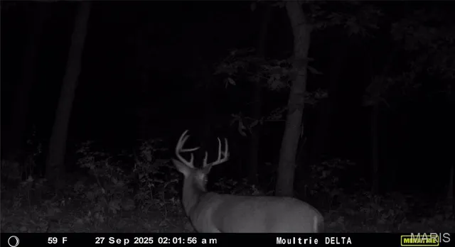 $375,000 | 15264 Spring Creek Road, Green Castle, MO 63544