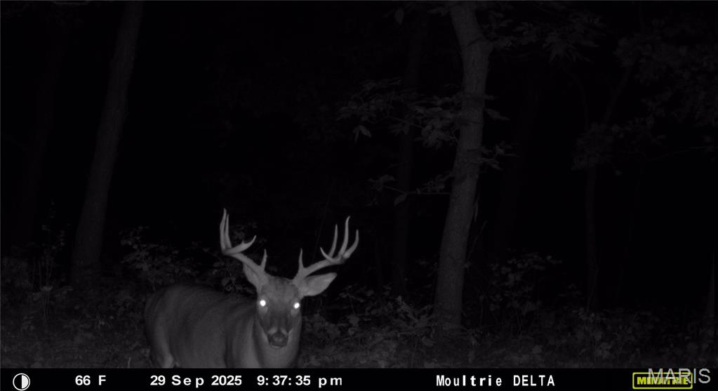 15264 Spring Creek Road Green Castle, MO 63544 - Photo 20 of 20