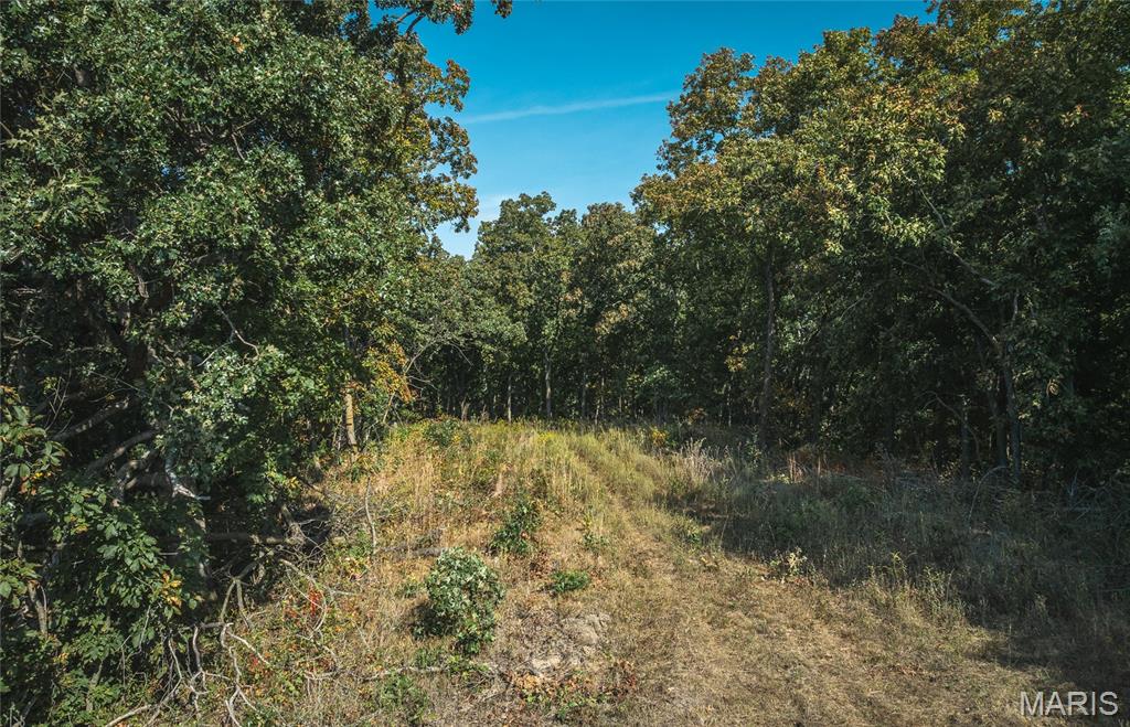 15264 Spring Creek Road Green Castle, MO 63544 - Photo 4 of 20