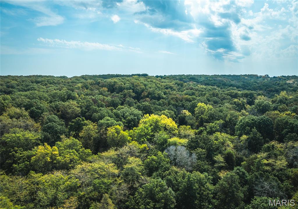 15264 Spring Creek Road Green Castle, MO 63544 - Photo 8 of 20