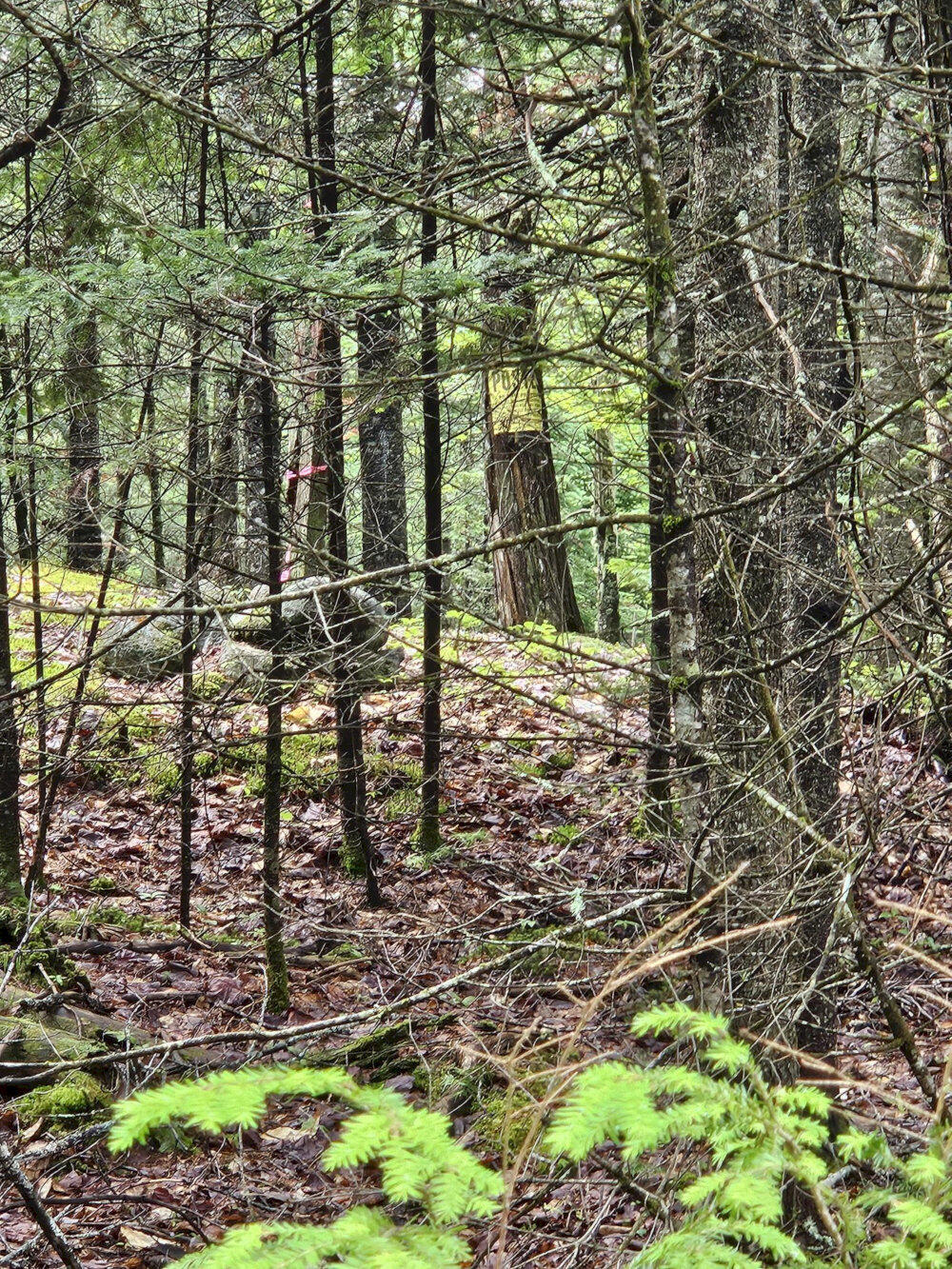 M10-l12-2 Ledge Road Embden, ME 04958 - Photo 9 of 14 20260627_110245_result