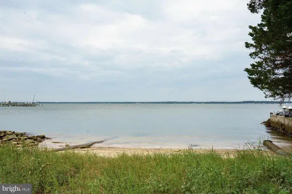 a view of a lake from a yard