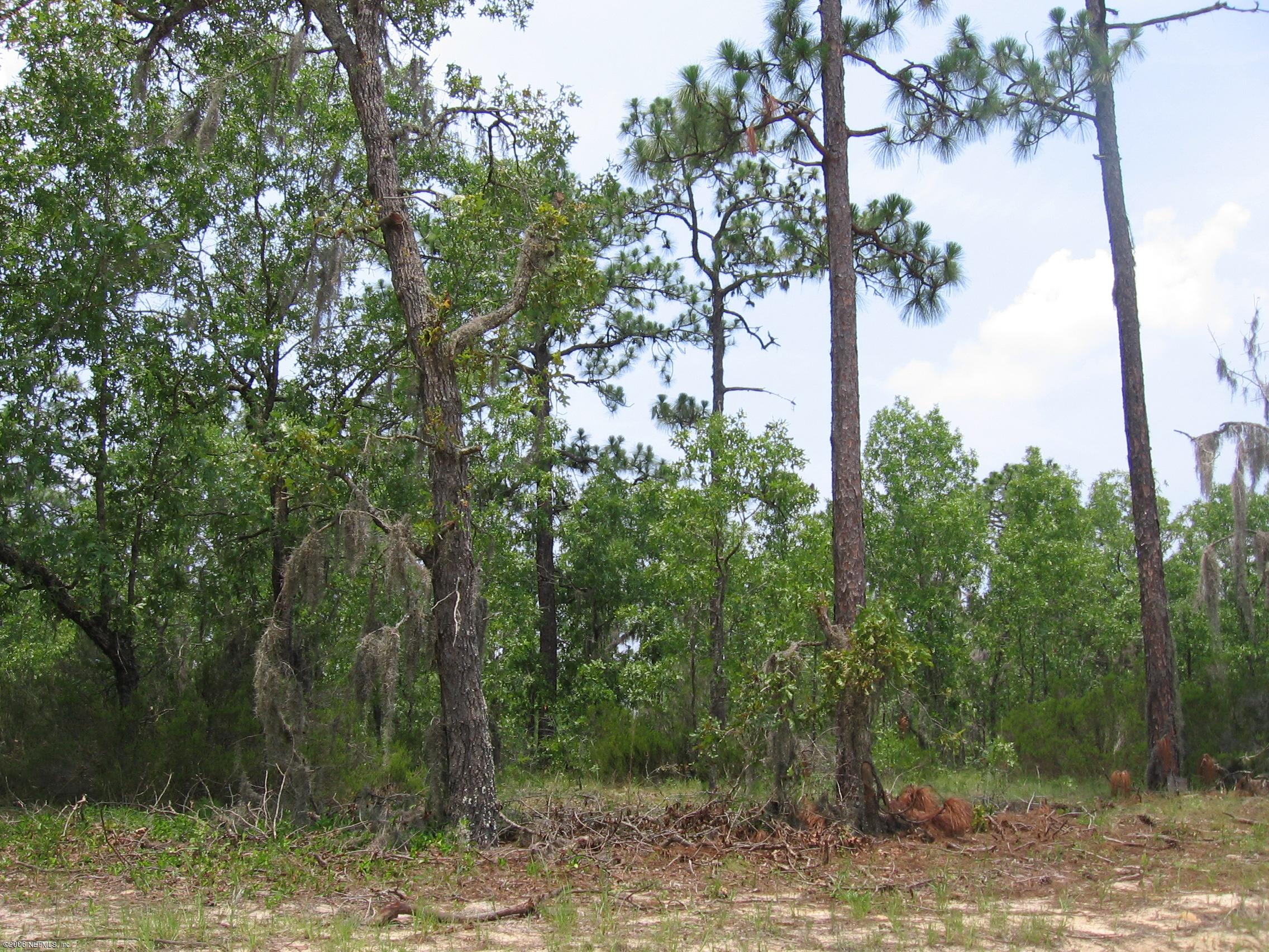 5437 Laredo Street Keystone Heights, FL 32656 - Photo 1 of 2 Residential lot