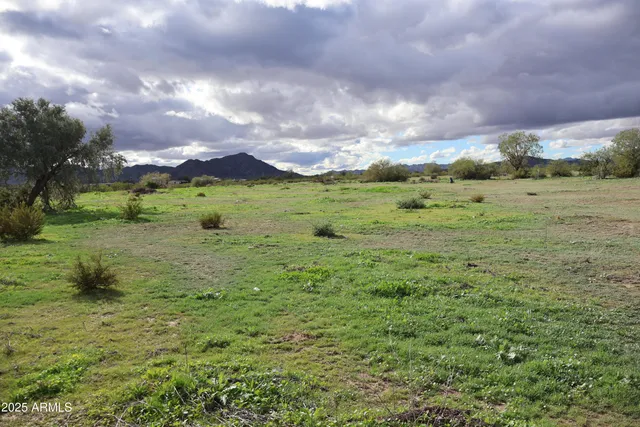 a view of a green field with an trees