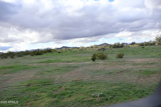 a view of a field with an trees