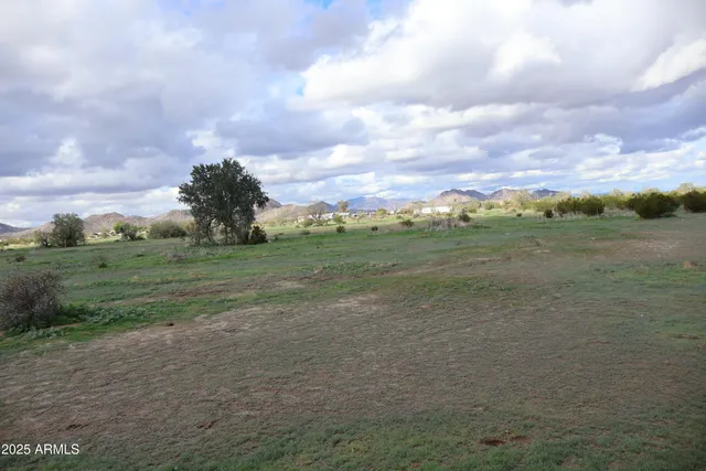 a view of a field with trees in background