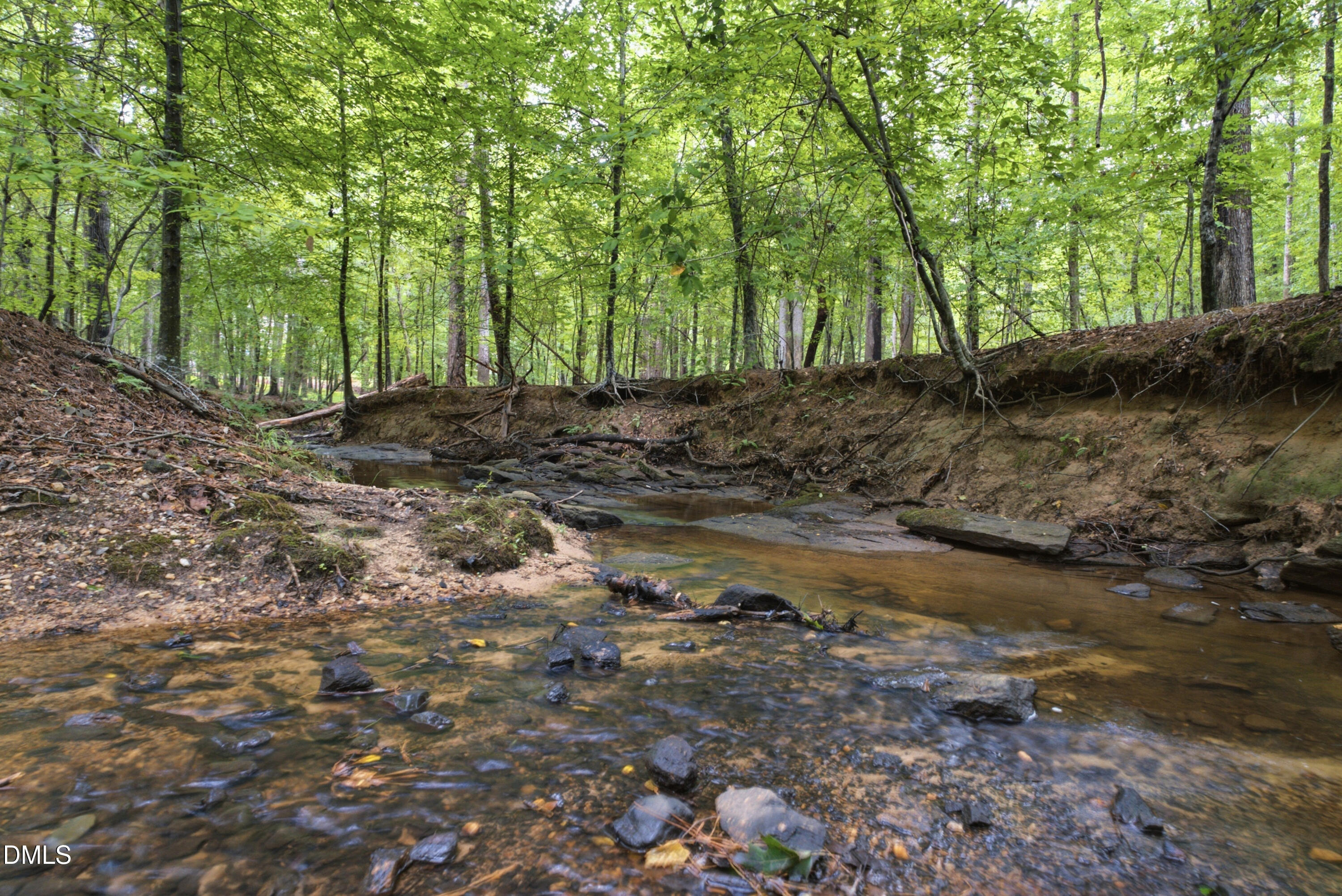 421 Swans Mill Crossing Raleigh, NC 27614 - Photo 55 of 69 Backyard Creek