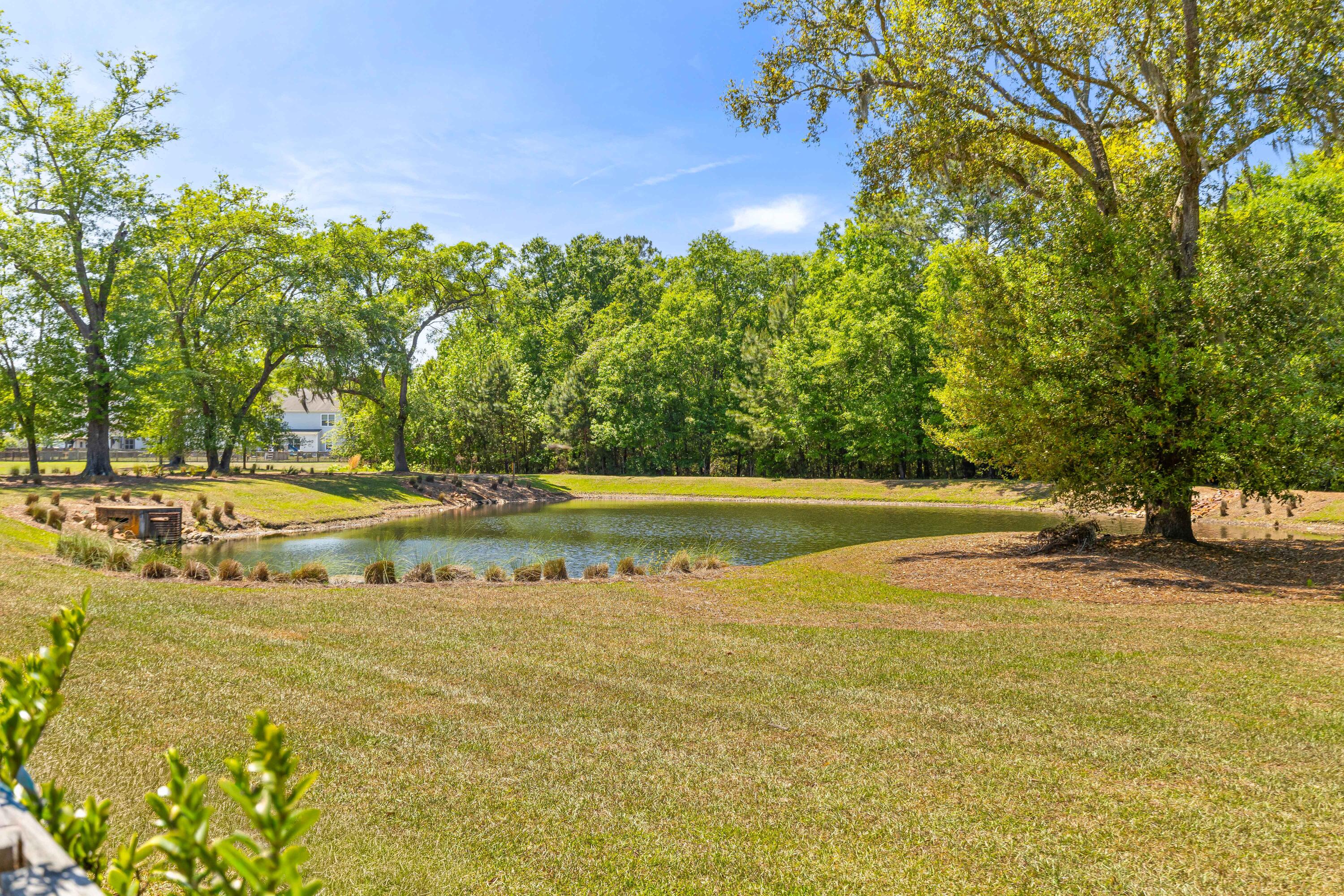 2017 Elvington Road Johns Island, SC 29455 - Photo 46 of 58 Community Pond