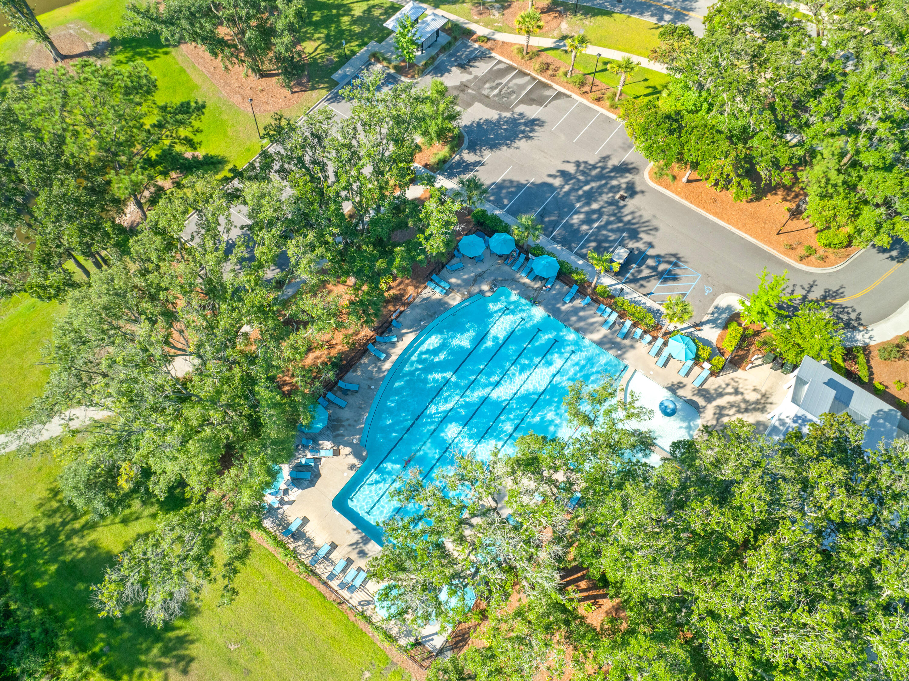 2017 Elvington Road Johns Island, SC 29455 - Photo 52 of 58 Neighborhood Pool
