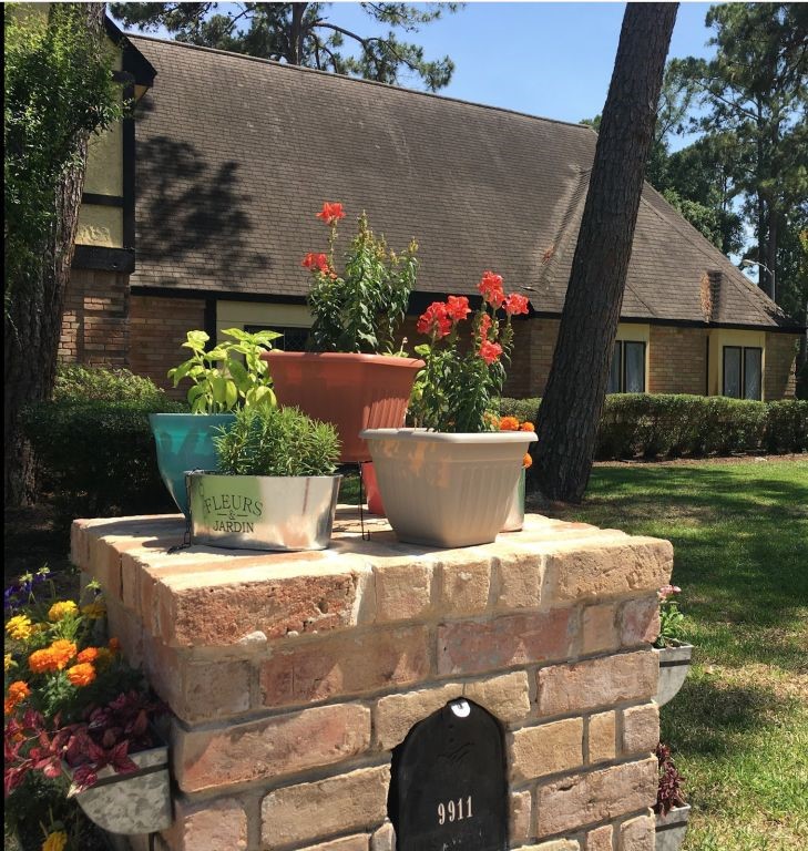 9911 Oxted Lane Spring, TX 77379 - Photo 27 of 27