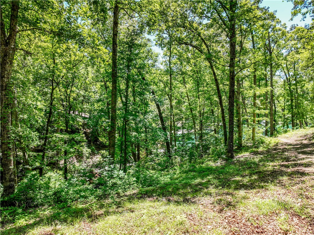 164 Wild Azalea Point Seneca, SC 29672 - Photo 11 of 31