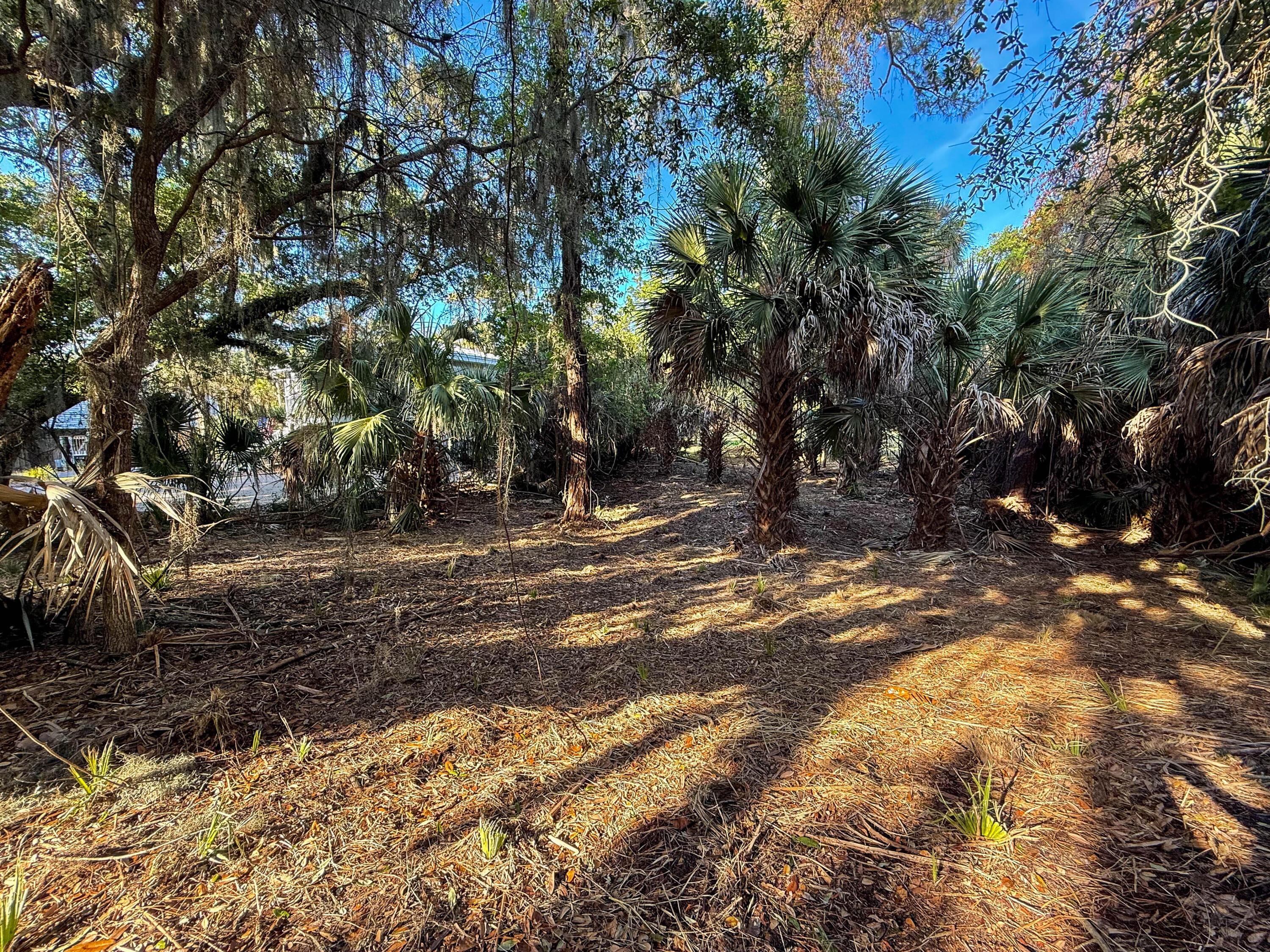3303 Fort Street Edisto Island, SC 29438 - Photo 16 of 27 Fort-Lot-20