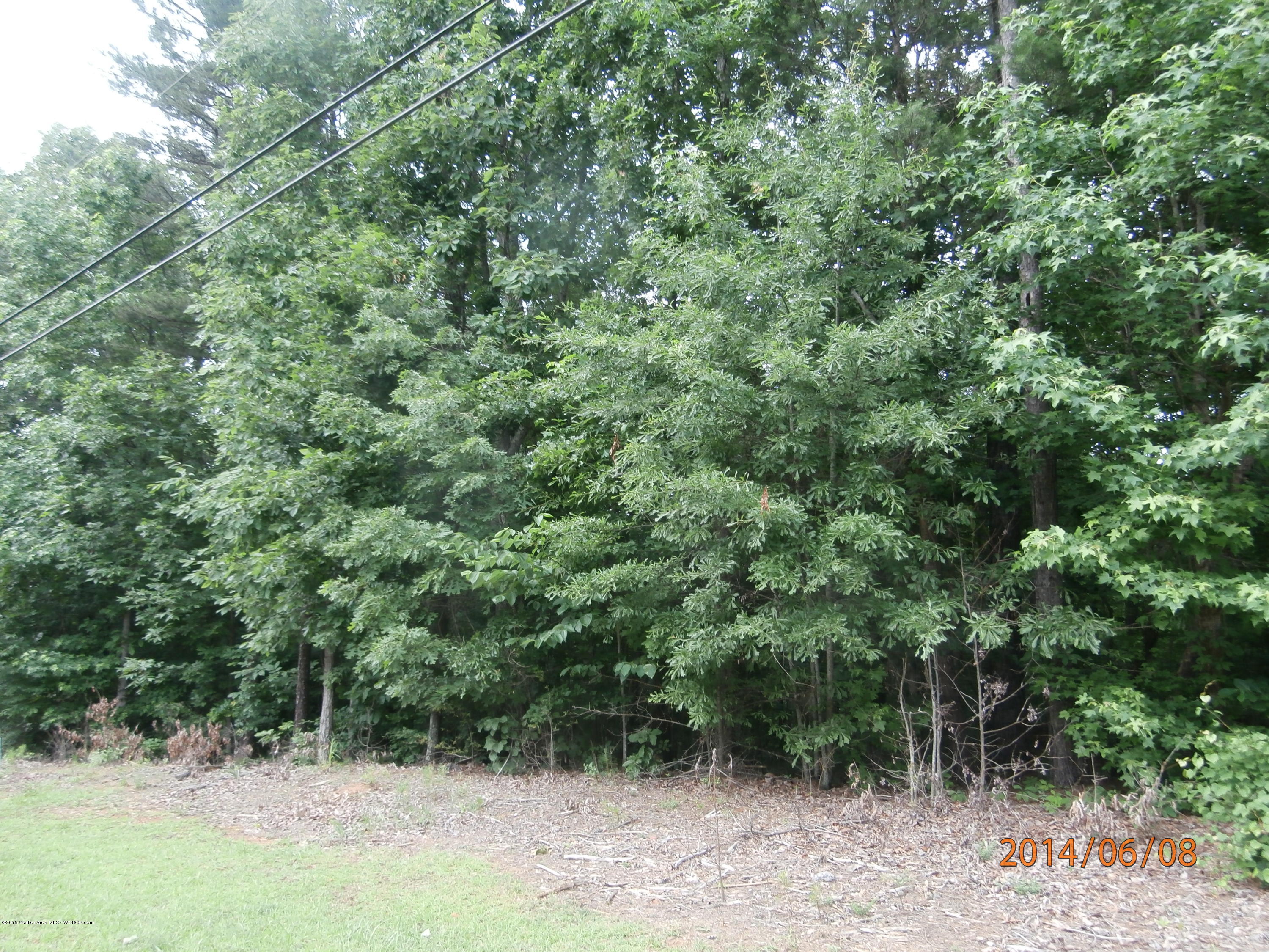 Lot 4 Hayfield Road Dora, AL 35062 - Photo 3 of 5 Gallery Image 3