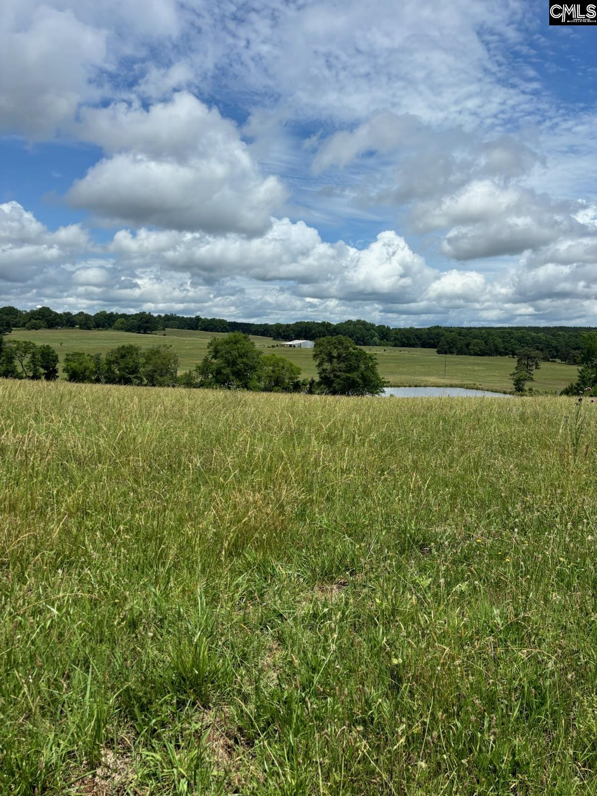 542 Pea Ridge Highway Jonesville, SC 29353 - Photo 3 of 72
