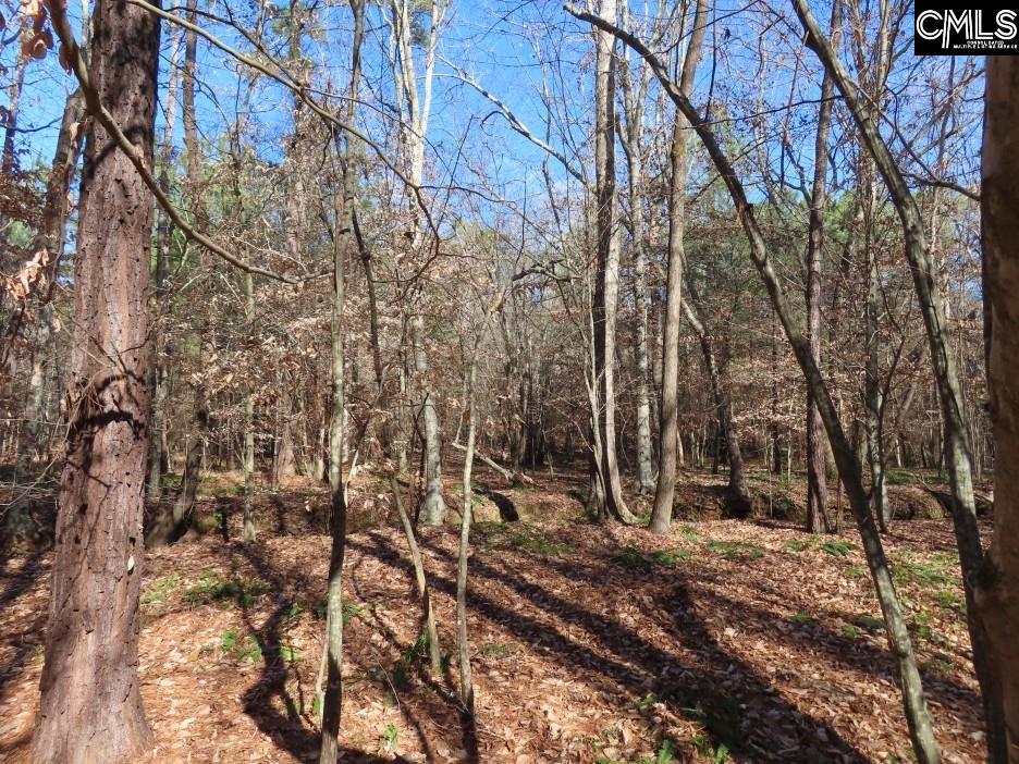 637 Cook Road Ridgeway, SC 29130 - Photo 47 of 51