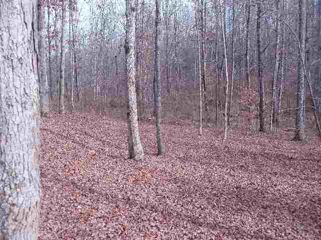 7 Starview Road Travelers Rest, SC 29690 - Photo 7 of 7 Gallery Image 7