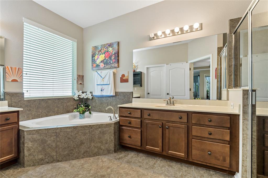 178 Magneta Loop Auburndale, FL 33823 - Photo 24 of 77 a spacious bathroom with a granite countertop sink mirror and a bathtub