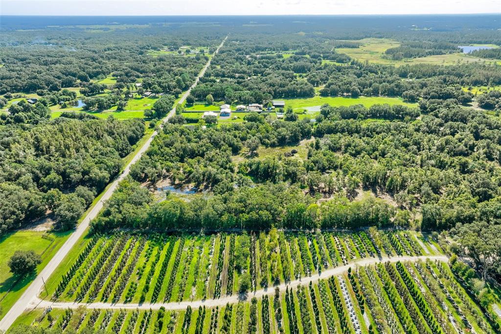 Bruton Road Plant City, FL 33565 - Photo 13 of 14 Gallery Image 13