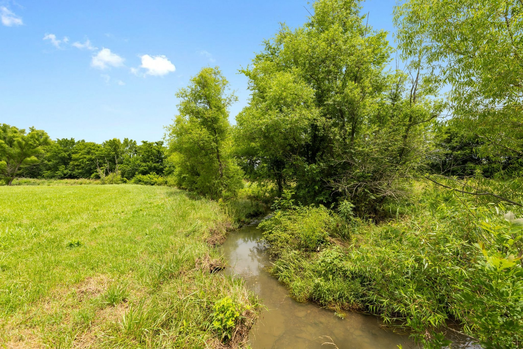 1914 Thompson's Station Road West Thompson's Station, TN 37179 - Photo 13 of 21 a view of a garden with a tree