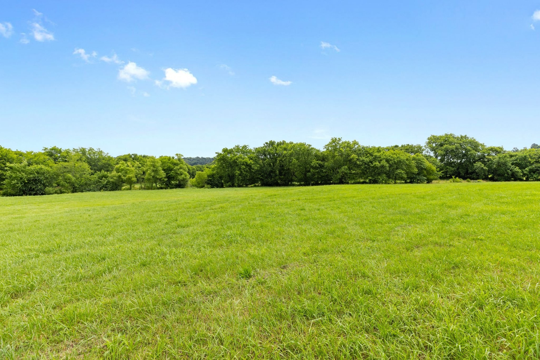 1914 Thompson's Station Road West Thompson's Station, TN 37179 - Photo 15 of 21 a view of a green field with clear sky