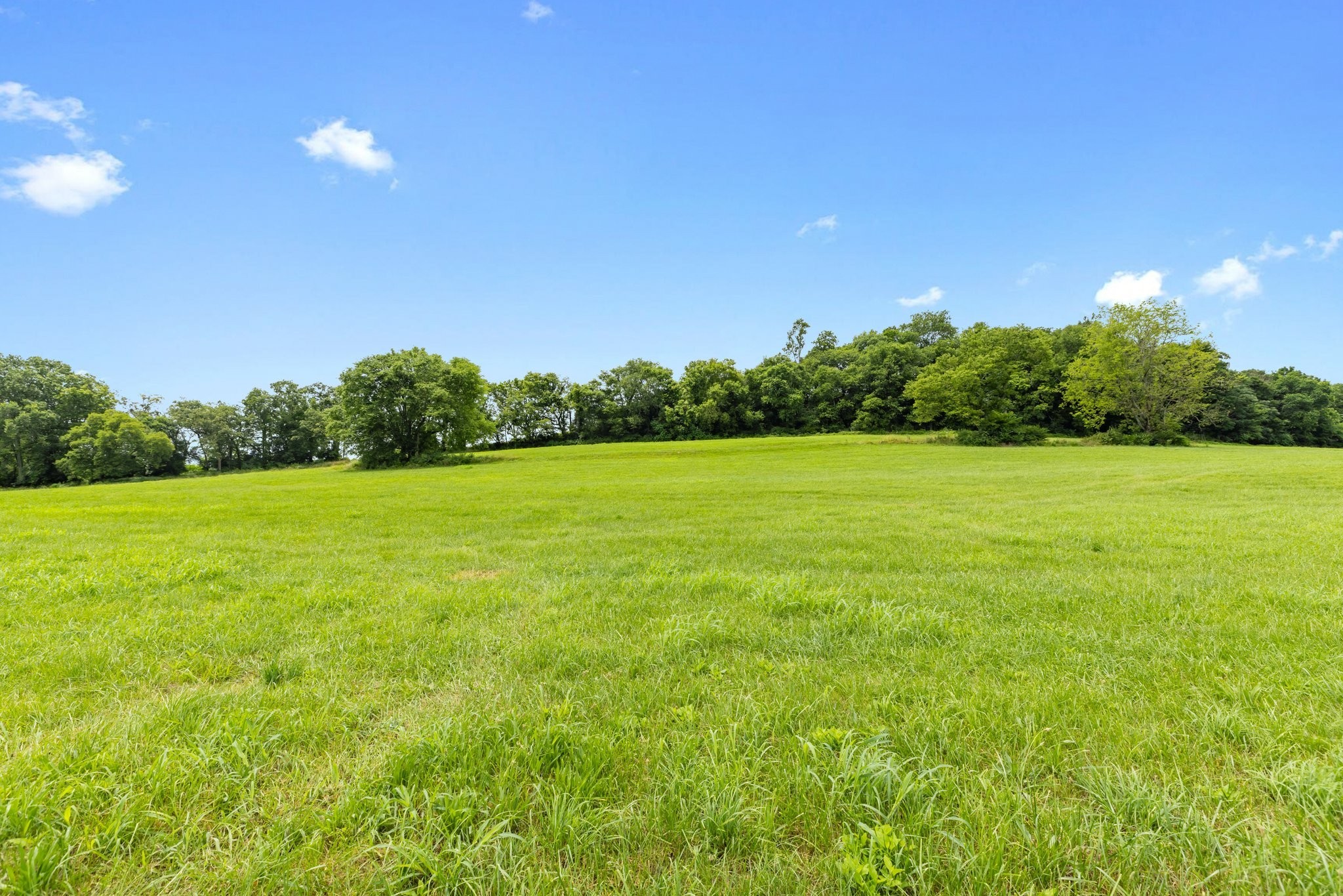 1914 Thompson's Station Road West Thompson's Station, TN 37179 - Photo 17 of 21 a view of a green field with plants in front of it