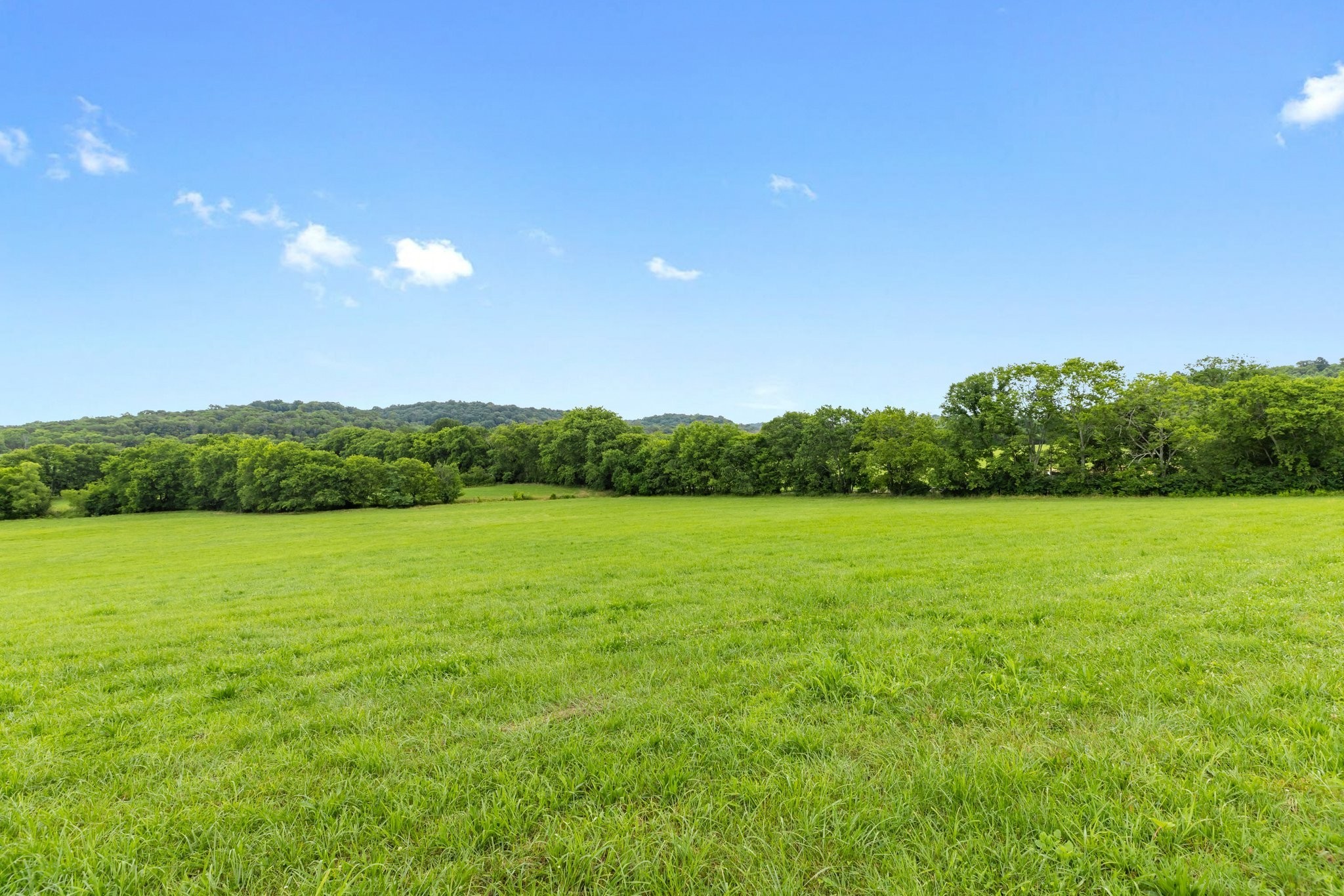 1914 Thompson's Station Road West Thompson's Station, TN 37179 - Photo 18 of 21 a view of a field with an ocean