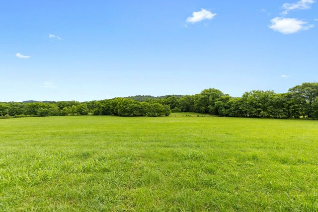 a view of yard with swimming pool and green space