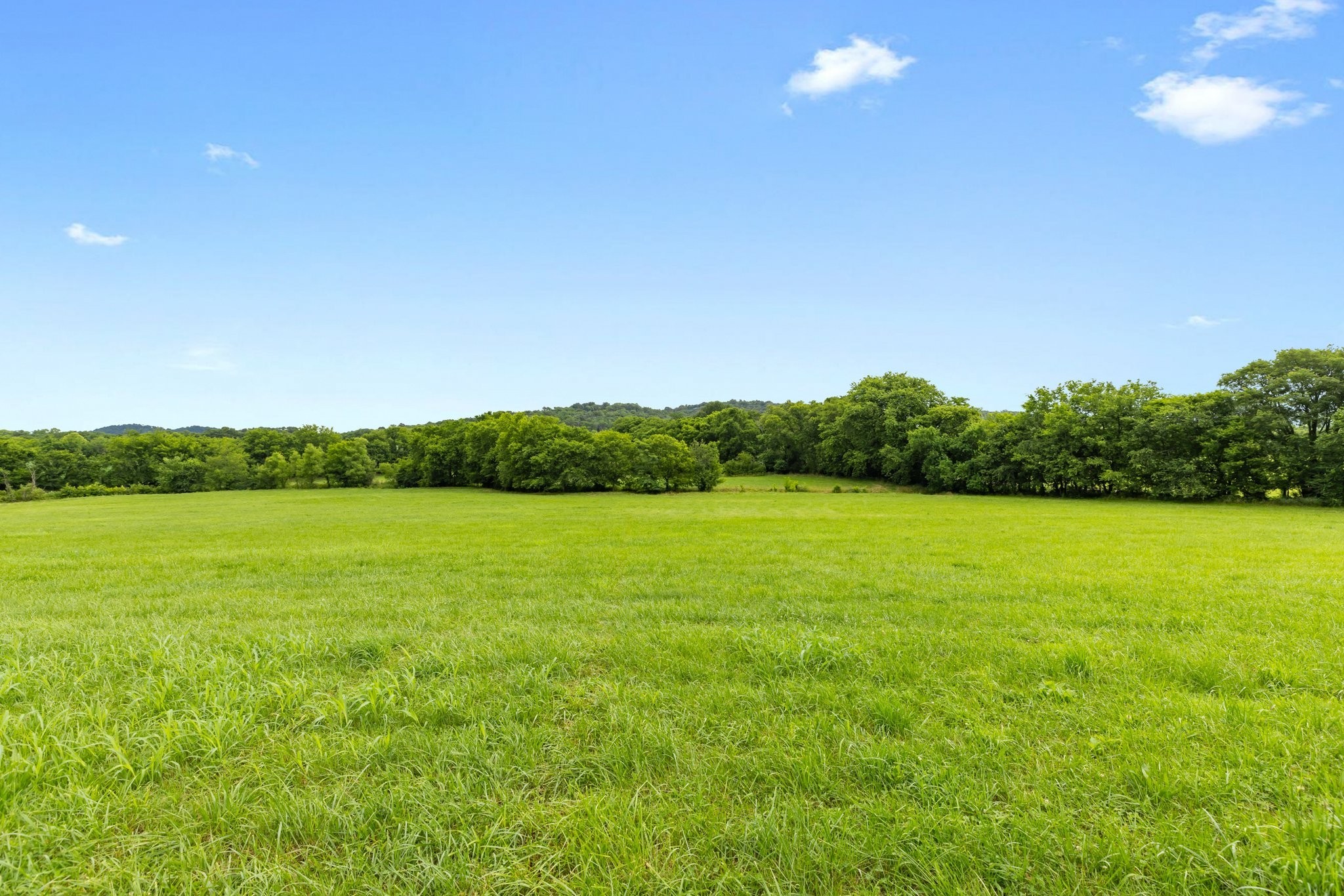 1914 Thompson's Station Road West Thompson's Station, TN 37179 - Photo 19 of 21 a view of a field with an ocean